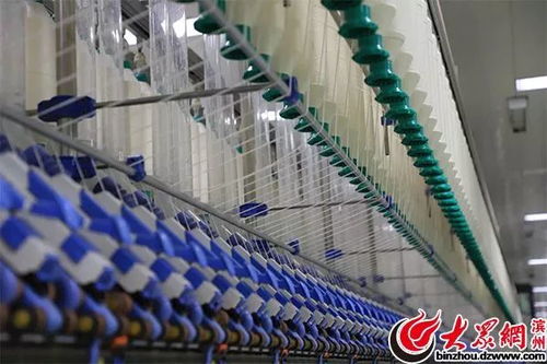 萬錠用工僅10人，魏橋紡織引領(lǐng)全球智能化變革驚艷網(wǎng)絡媒體