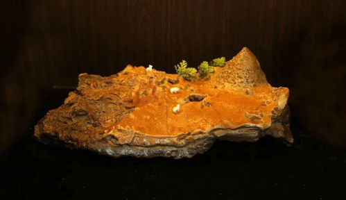 石界有個(gè)吳乃江