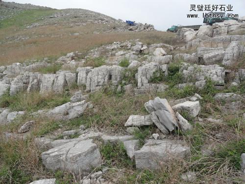 龜紋石 自然雕琢的巖壑意境